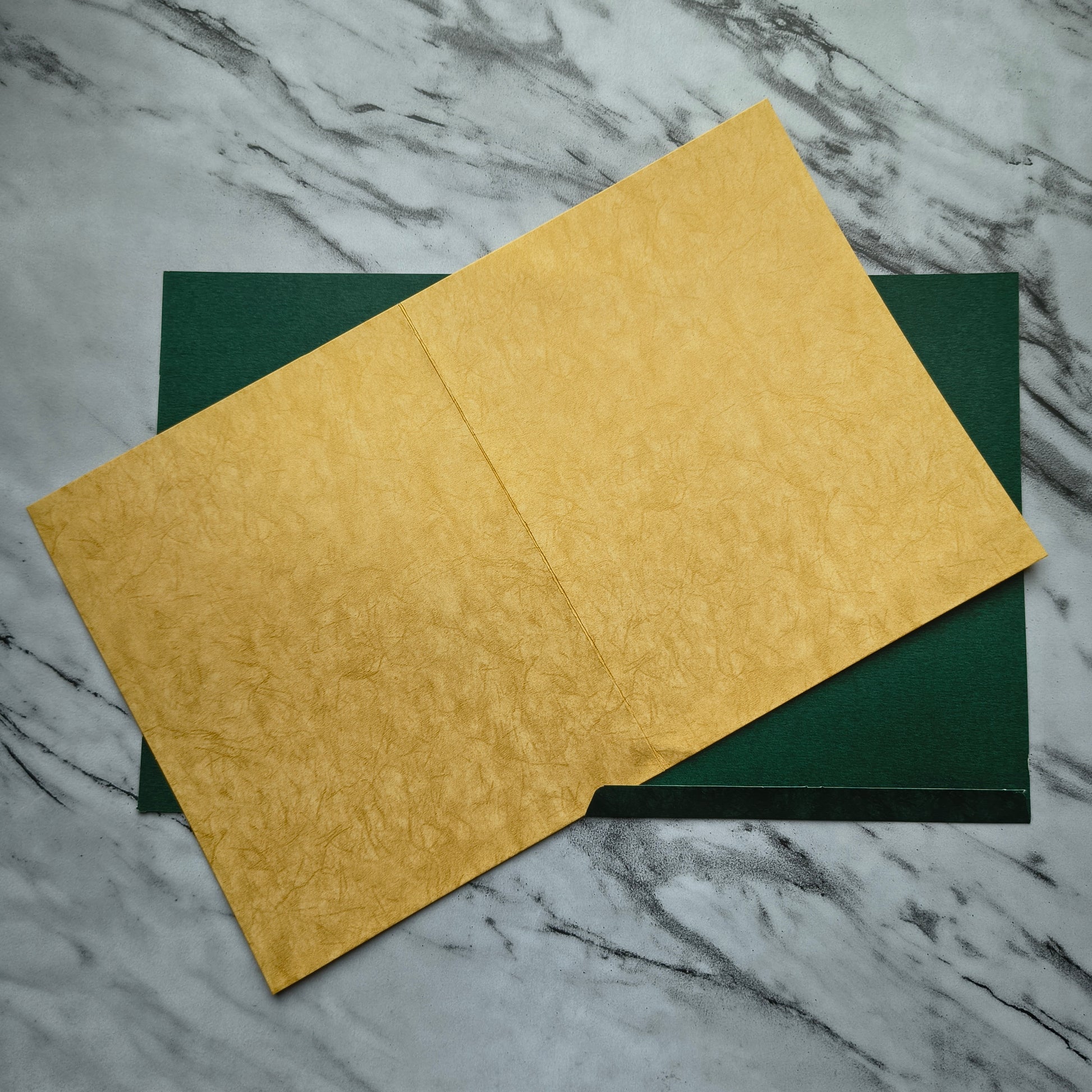 AA 1009