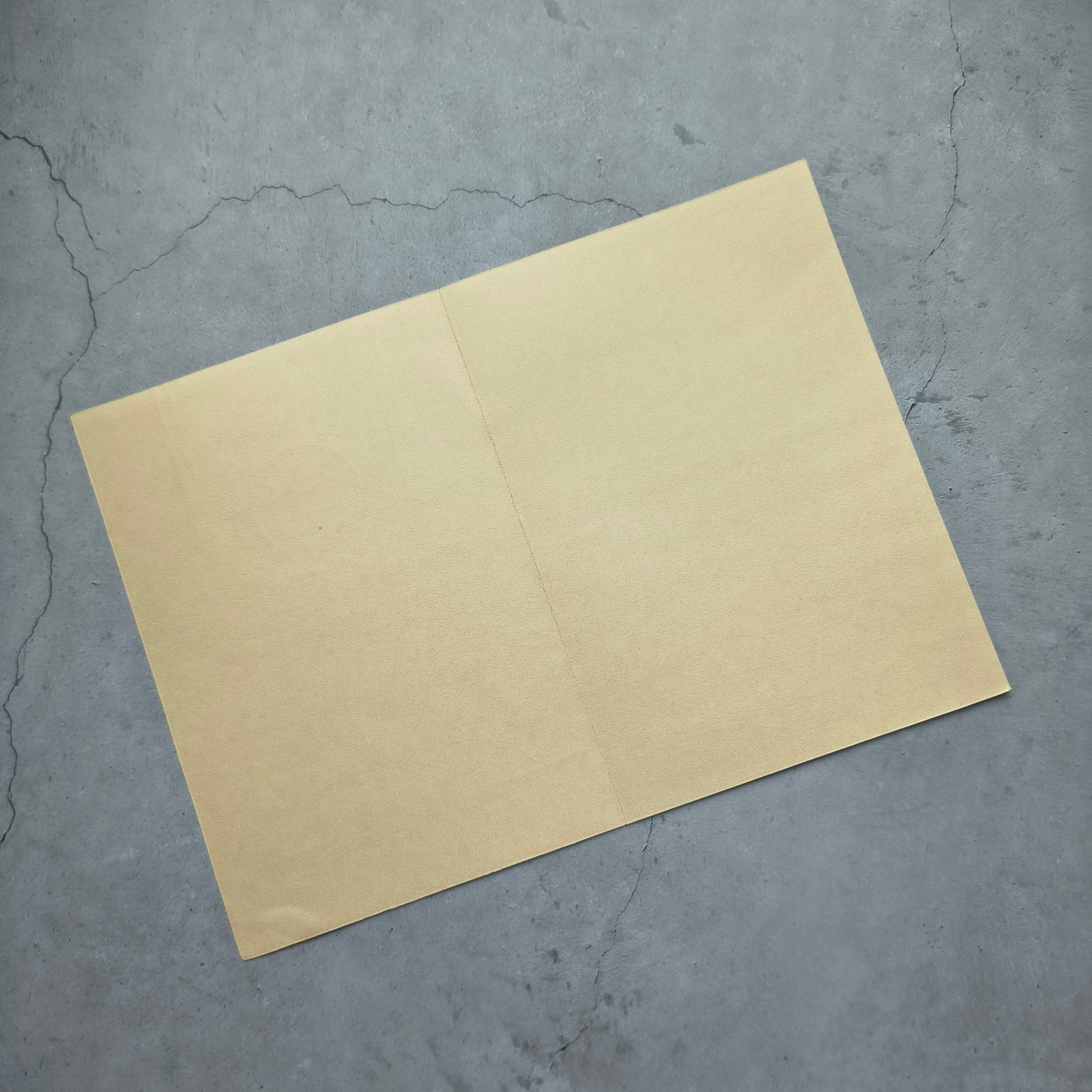 AA 1129