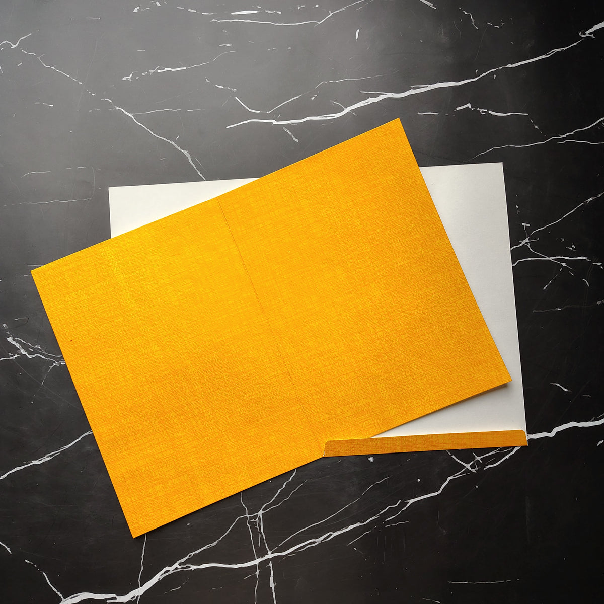 KNCM260F